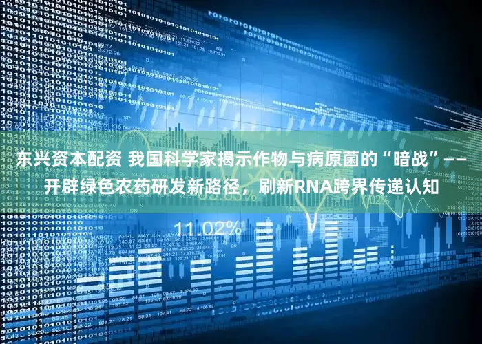 东兴资本配资 我国科学家揭示作物与病原菌的“暗战”——开辟绿色农药研发新路径，刷新RNA跨界传递认知